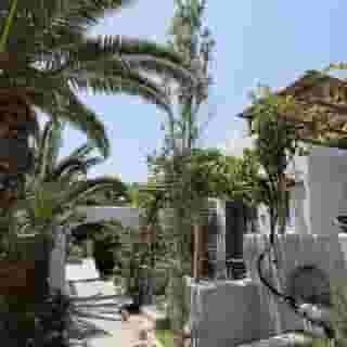 Albatros Club Mykonos, 3 of 5