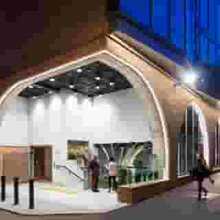 Wren Urban Nest, 1 of 5