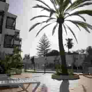 Las Orquideas, 4 of 5