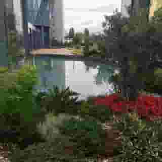 Tango Arjaan by Rotana, 5 of 5