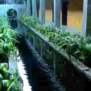 Grand Udawalawe Safari Resort, 4 of 5