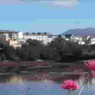 Clifden Station House, 1 of 5