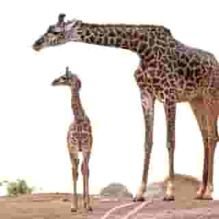 Staybridge Suites Phoenix - Biltmore Area, 2 of 5