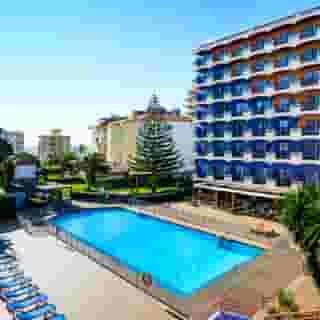 Monarque Cendrillon, 1 of 5