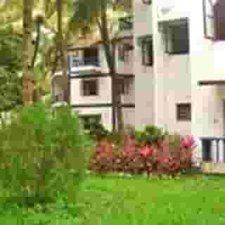 Palm Resort, 6 of 6