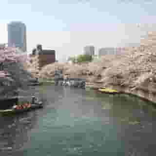Day Nice Hotel Tokyo, 1 of 5