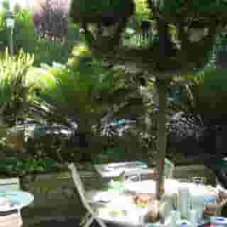 Villa Medici, 3 of 5