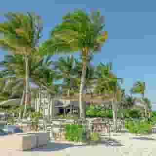 Andaz Mayakoba Resort Riviera Maya - A concept by Hyatt, 3 of 5