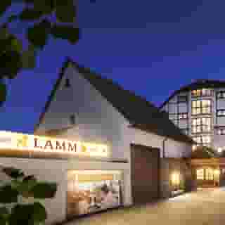 Hotel Lamm, 2 of 5