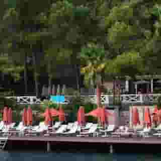 Marti Hemithea, 5 of 5