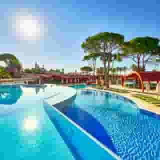 Paloma Sensia, 1 of 5