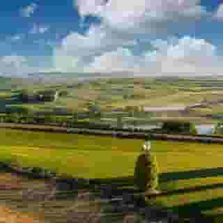 La Bagnaia Golf & Spa Resort Siena, Curio, 3 of 5