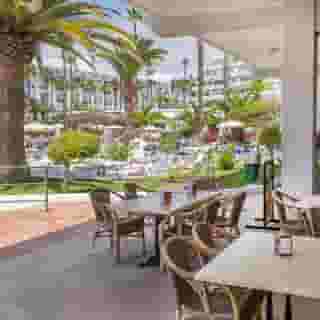 Hovima Altamira, 2 of 5