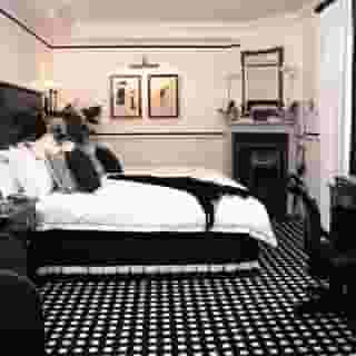 Hotel 41, 5 of 5
