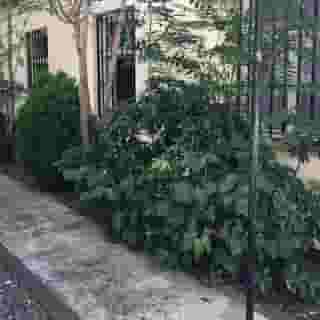 Pension City Center & L'Opera, 3 of 5