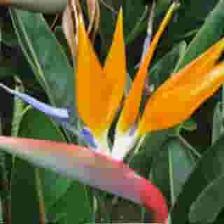 Vila Ventura, 5 of 5