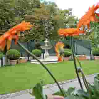 Ludwig van Beethoven, 5 of 5