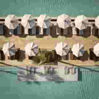 The Royal Senses, Curio Collection by Hilton, 3 of 5