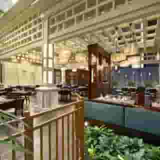 Embassy Suites by Hilton Orlando Lbv South, 5 of 5