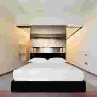 Rhinoceros Roma, 1 of 5