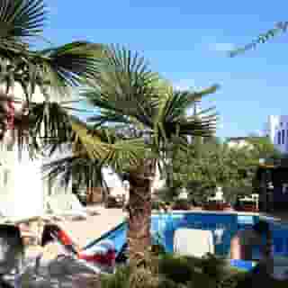 Paloma Hotel, 4 of 5