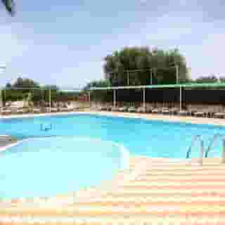 Triton Garden, 1 of 5