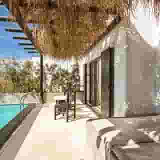 Myconian Utopia, 4 of 5