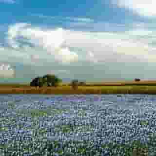 Courtyard Houston Hobby Airport, 3 of 5
