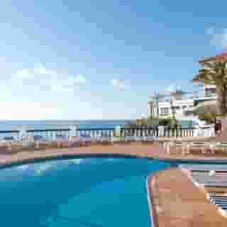 Royal Orchid, 2 of 5