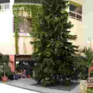 Occidental Arenas Blancas, 4 of 5