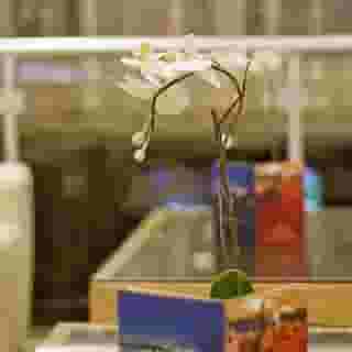 Park Star Hotel Taksim, 2 of 5