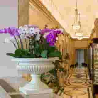 Regina Palace, 2 of 5