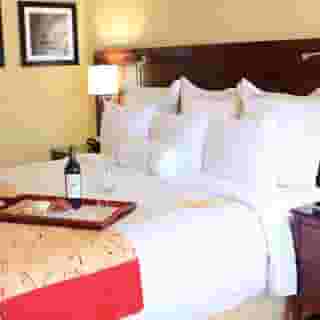St. Petersburg Marriott Clearwater, 5 of 5