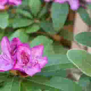 The Inn at Virginia Mason, 3 of 5