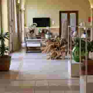 Hotel Montecallini (Adult Only +14), 6 of 6