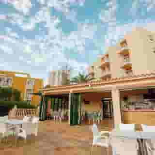 Palm Court Apartments, 3 of 5