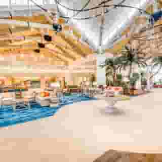 Margaritaville Resort Orlando Cottages, 4 of 5