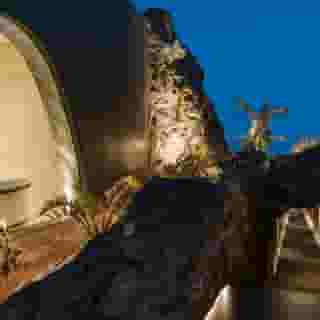 One Of One Hotel, 4 of 5