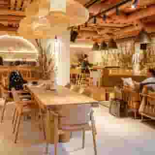 Wren Urban Nest, 3 of 5