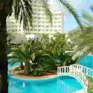 Riadh Palms, 2 of 5