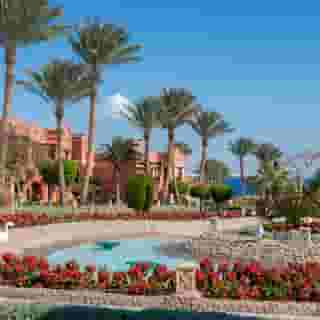 Charmillion Sea Life Sharm, 6 of 6