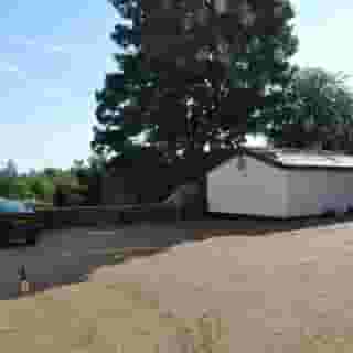 The Liver View, 5 of 5