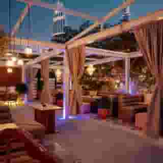 Dusit Thani Dubai, 3 of 5