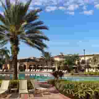 Rosen Shingle Creek, 2 of 5