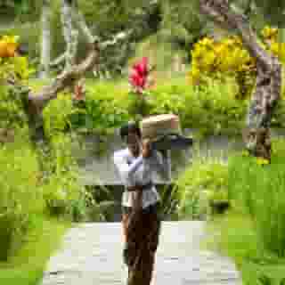 Adiwana Suweta, 1 of 5