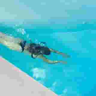 Elite Luxury Suites, 4 of 5