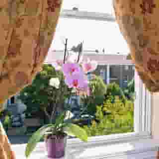 Waterloo Lodge, 3 of 5