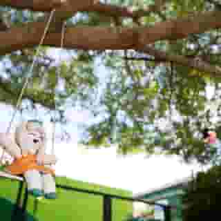 Samui Verticolor, 3 of 5