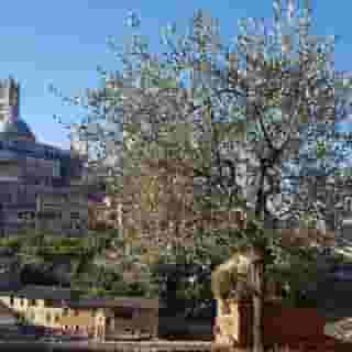 Campo Regio Relais, 5 of 5