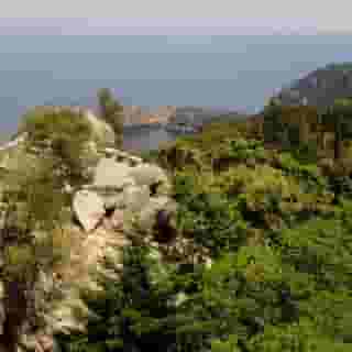 CONTINENTAL VALLDEMOSSA (EX ENCINAR), 3 of 5